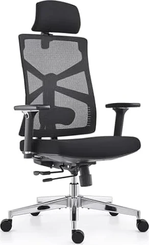 HOLLUDLE Ergonomic Office Chair with Adaptive Backrest, High Back Computer Desk Chair with 4D Armrests, Adjustable Seat Depth, Lumbar Support and 2D Headrest, Swivel Task Chair, Black