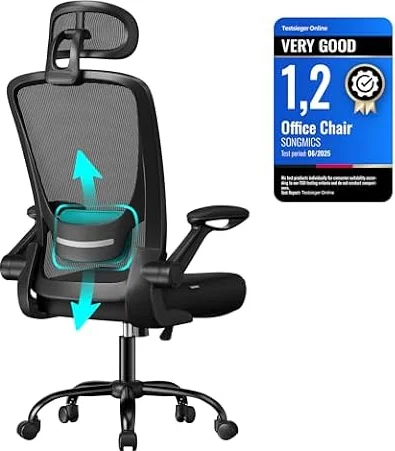 SONGMICS Office Mesh Chair, Ergonomic Swivel Chair, Lumbar and Head Support, Wide Seat, Foldable Armrests, Tilt Function, for Office Bedroom, Ink Black OBN047B02