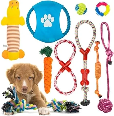 Fur & Bone Dog Chew Toys (10-Pack) - Puppy Toys for Boredom - Indestructible Rope & Squeaky Teething Toys for Small & Medium Dogs